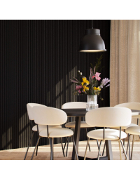 Akoestisch paneel Black Matte